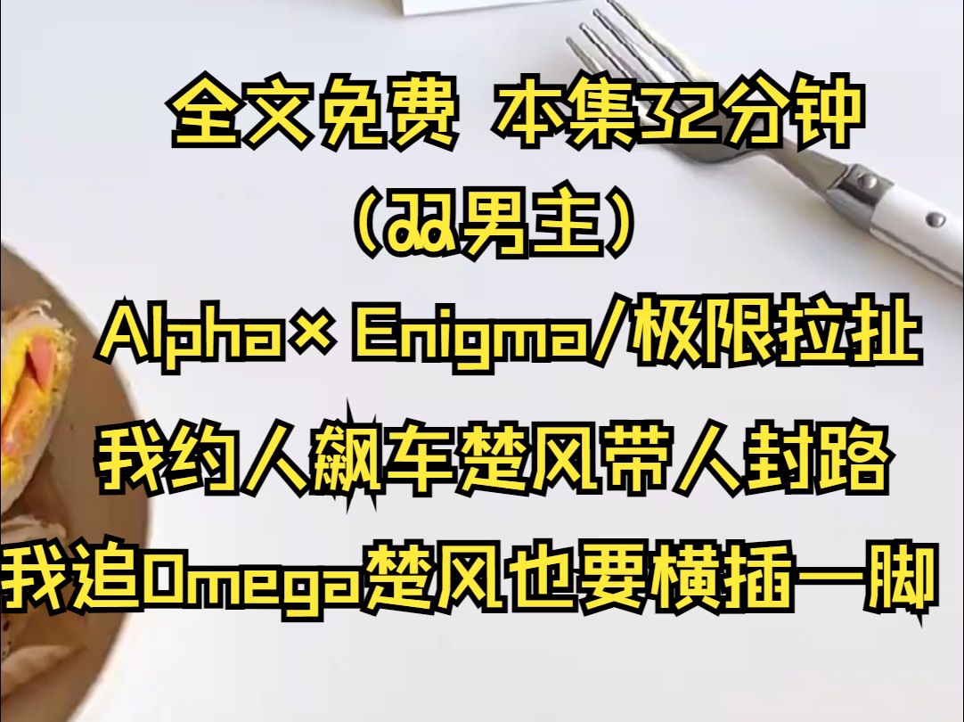 (双男主系列文)圈内皆知我和楚风互相不对付,我约人飙车楚风带人封路,我追Omega楚风也要横插一脚.现在不只是死对头还多出来一层情敌的关系....