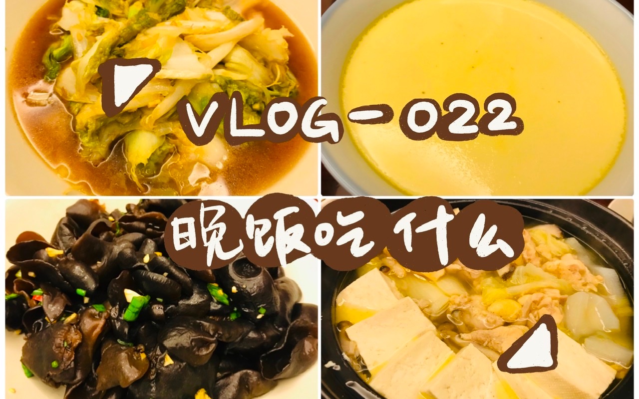 【VLOG022 晚饭吃什么】鸡肉杂蔬锅+凉拌木耳+水蒸蛋+炒白菜哔哩哔哩bilibili