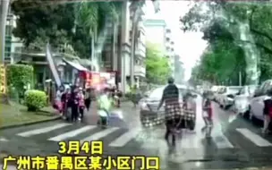 Download Video: 小学生排队过马路，司机直冲斑马线，“马路霸王”要严惩！