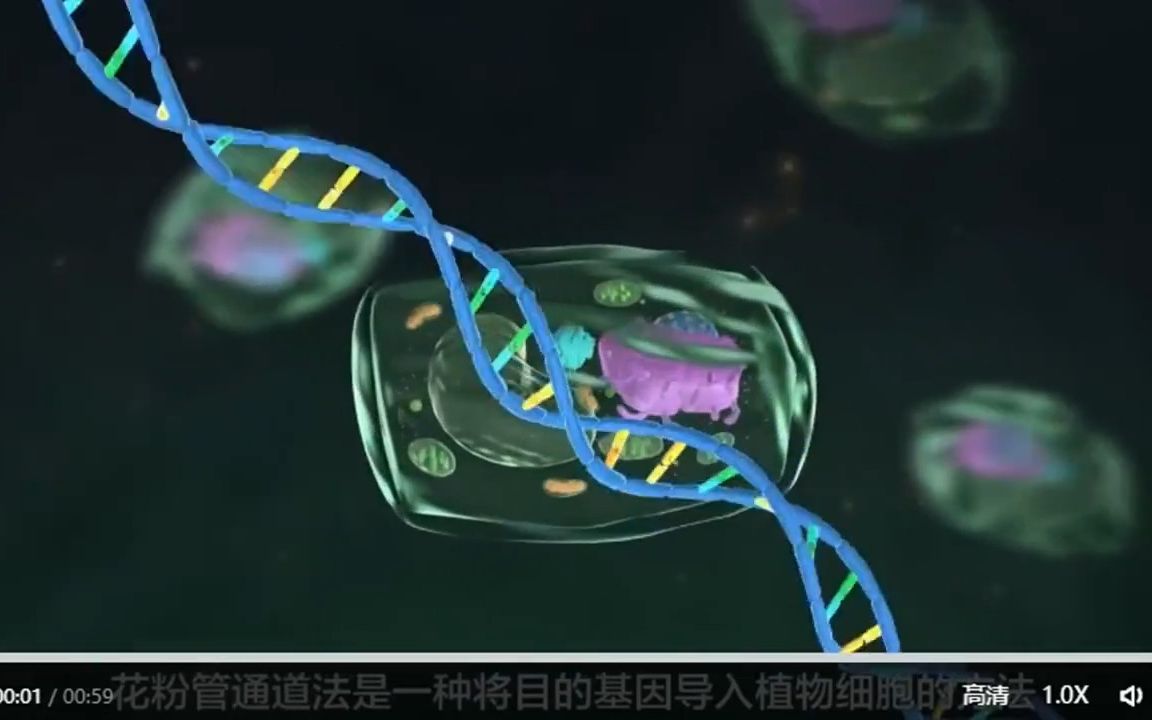 生物选修三:花粉管通道法哔哩哔哩bilibili