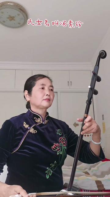 二胡 #黄梅戏 #女驸马