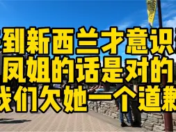 Video herunterladen: 来到新西兰意识到，凤姐的话是对的，我们欠她一个道歉