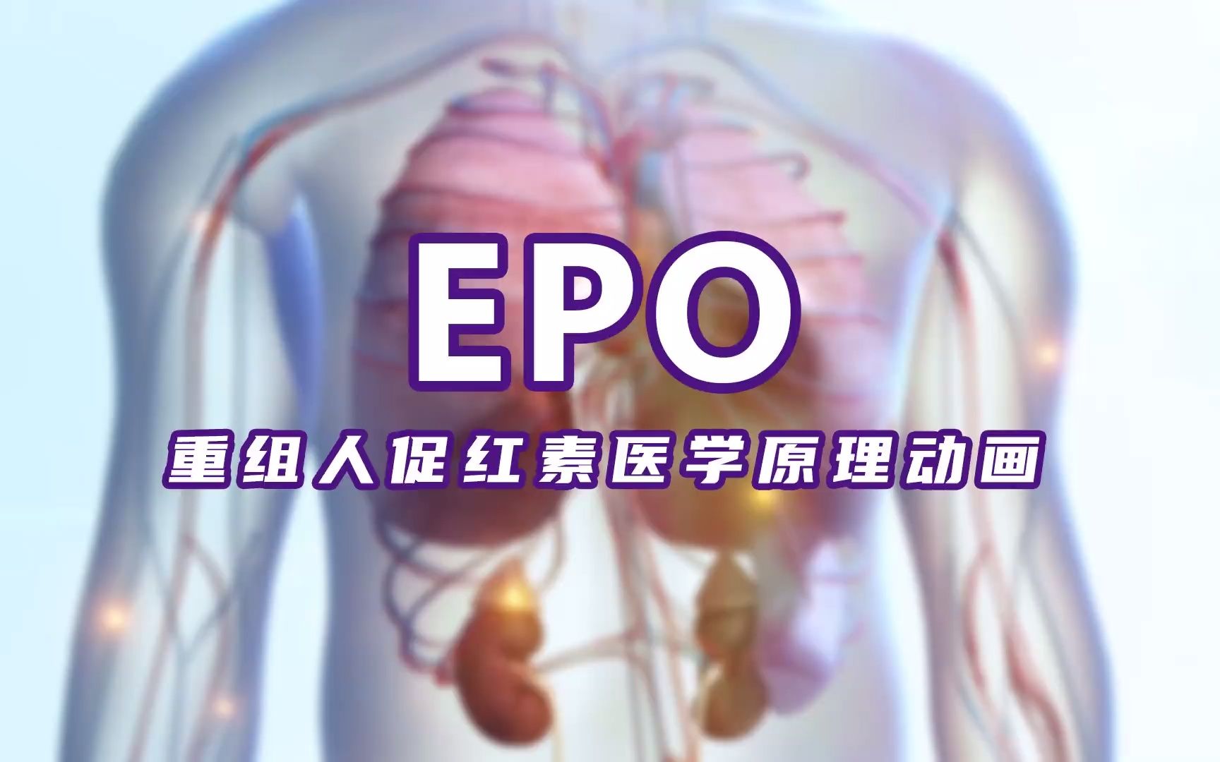 [图]EPO 重组人促红素医学原理动画