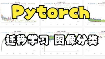 Pytorch迁移学习训练自己的图像分类模型【两天搞定AI毕设】