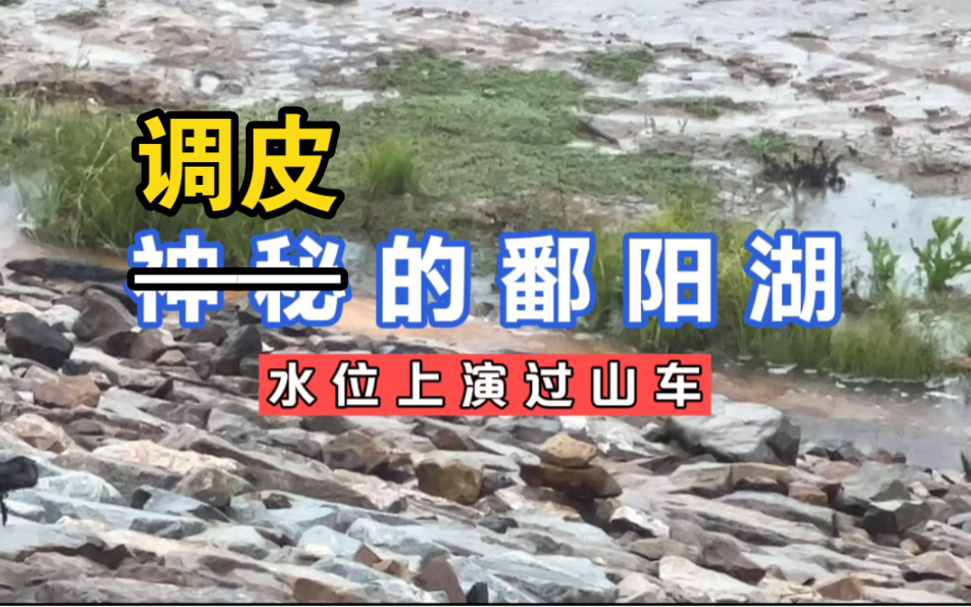 鄱阳湖连下几天磅礴大雨,近距离实拍,现在涨水了吗?哔哩哔哩bilibili