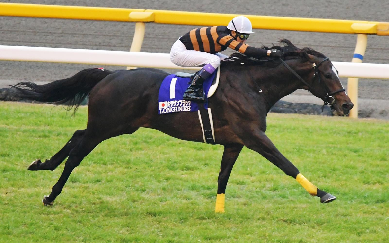 27 日本杯 (gi)【北部玄驹】_哔哩哔哩 (゜-゜)つロ 干杯~-bilibili