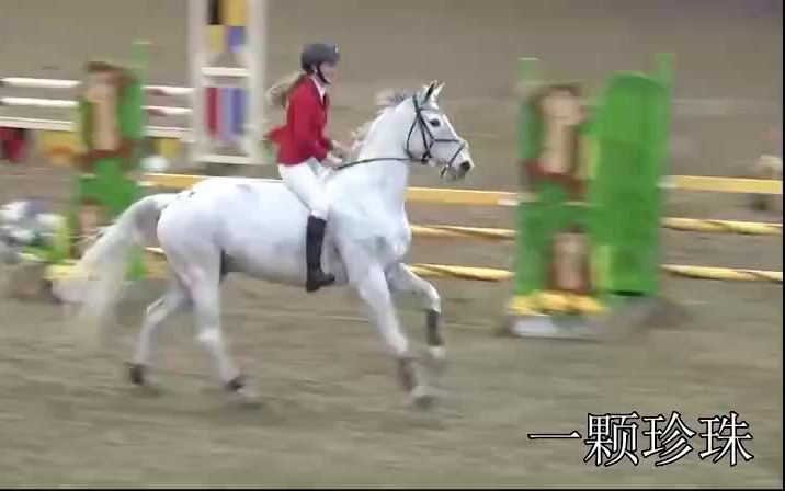 [图]趣味无鞍障碍赛估计都是女孩玩男的这么玩一场下面该少点东西了马术障碍马骑马马术