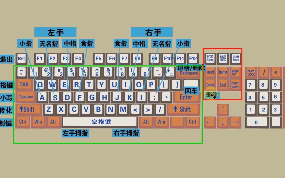 五笔字根表的讲解,从零开始学电脑!老师一步一步教会你哔哩哔哩bilibili