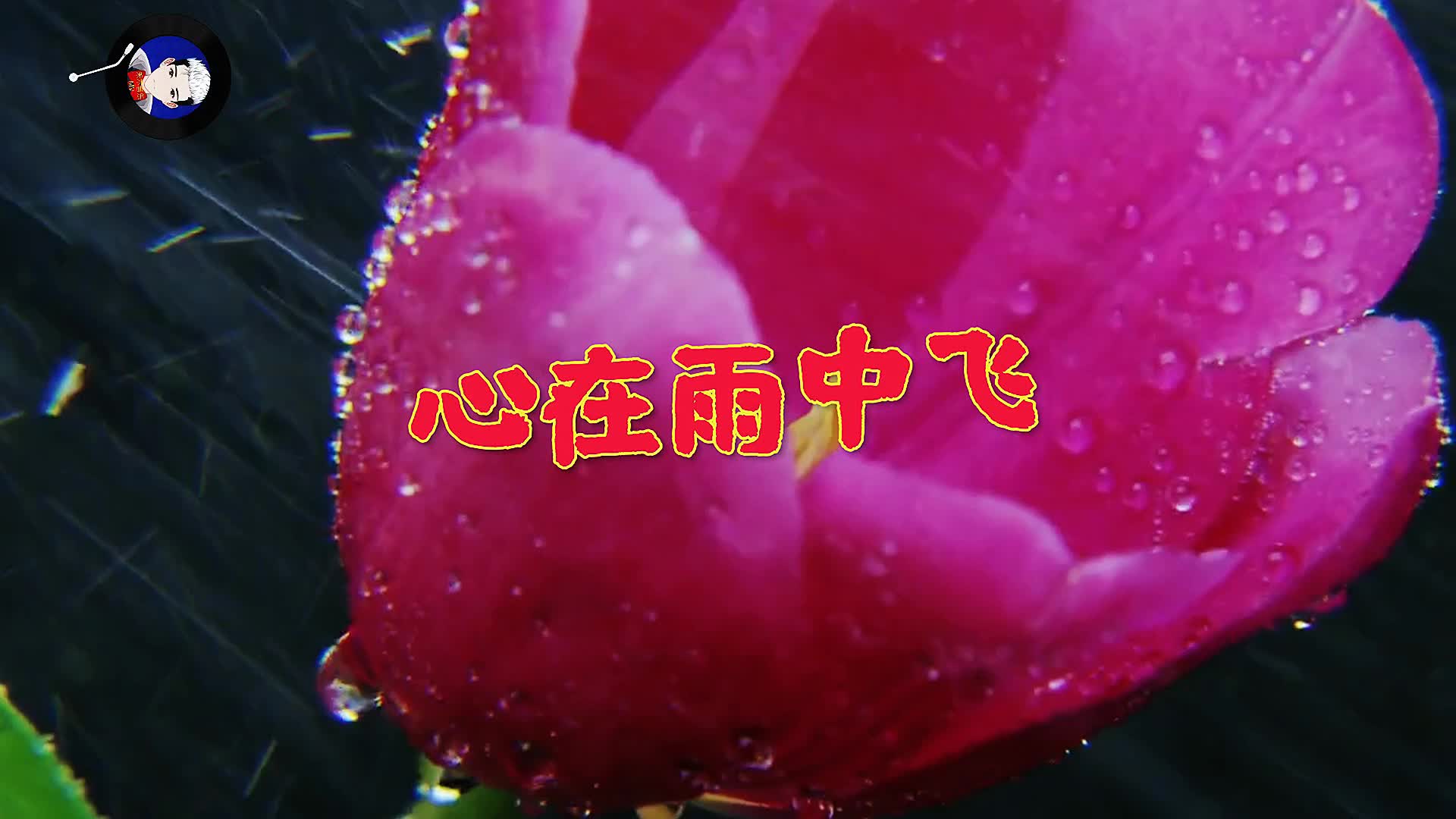 [图]雨中百合一首《心在雨中飞》伤感好听，唱碎了多少人的心