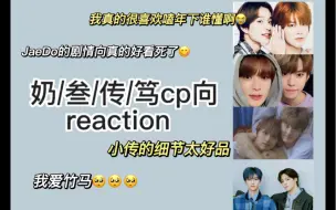 Download Video: 【叁｜奶｜传｜笃cp reaction】NCT cp向第四弹来了！超长放送，四对别把我磕死！！！全程高甜，剧情向真的好好看！