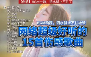 Descargar video: 【伤感】BGM一响，泪水就止不住了