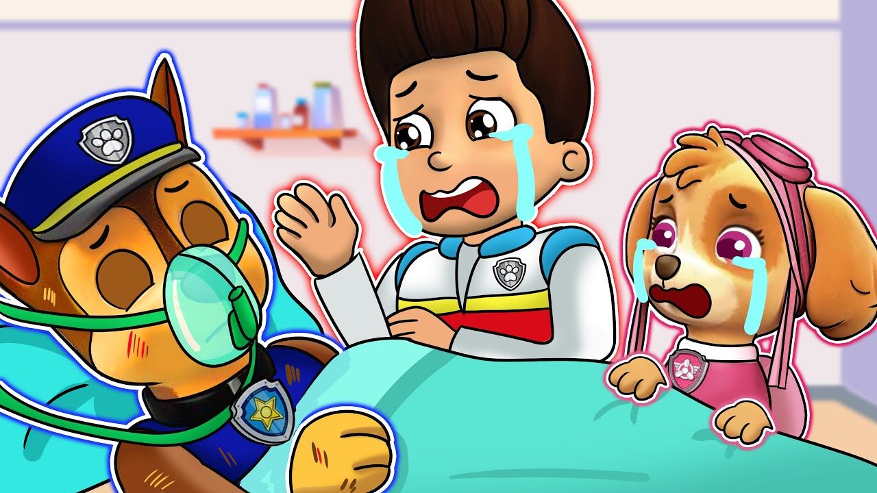 汪汪队立大功:阿奇受伤不轻莱德和天天心如刀割,能否挺过难关?