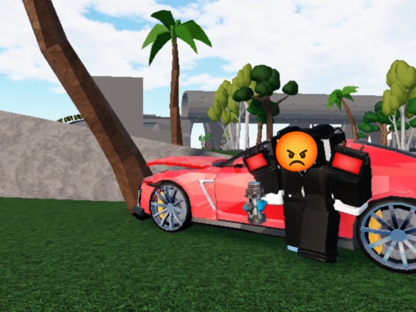 Roblox【bro以为自己很行】