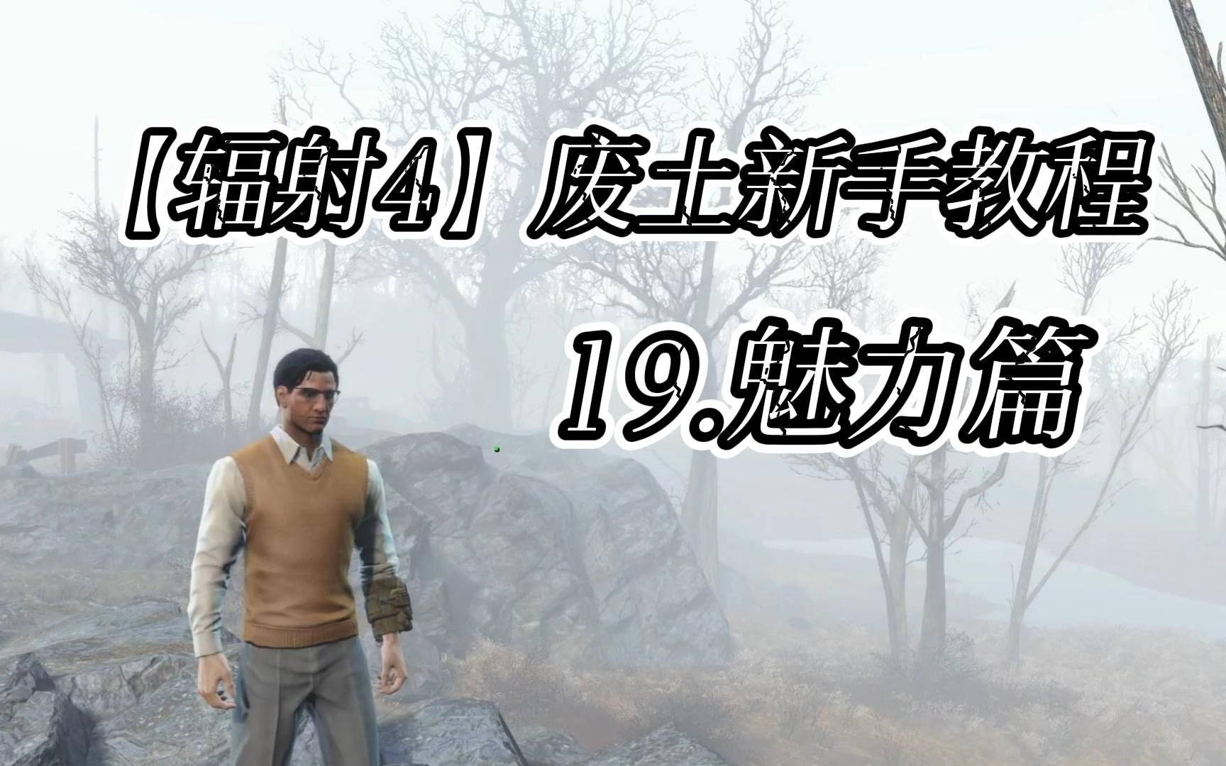 [图]【辐射4】新手教程19：魅力篇