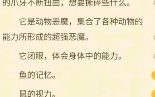 哪来的区