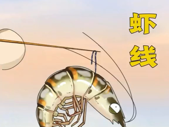 你吃虾会不会挑虾线?