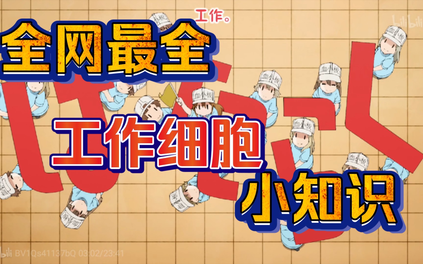 全网最全《工作细胞I》所有小知识，快康康有没有你记漏的小知识