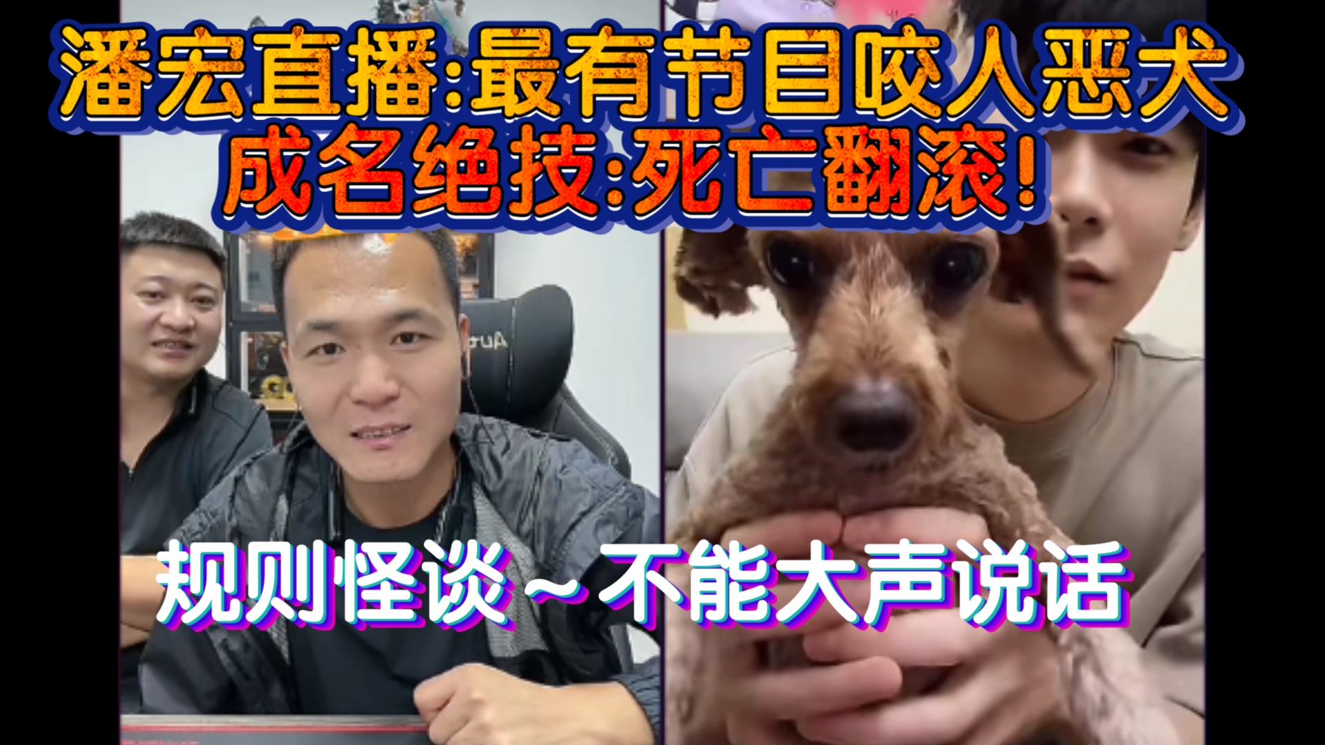 潘宏直播:最有节目”咬人恶犬”,绝技:死亡翻滚!怪谈~不能大声说话!哔哩哔哩bilibili