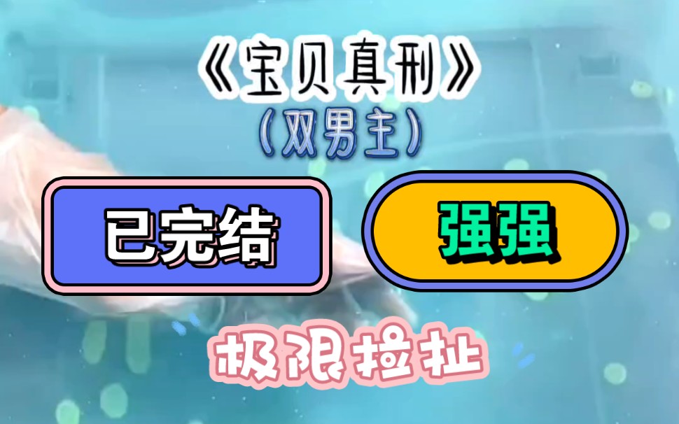 《宝贝真刑》老谋深算有心机,野兽派钢铁直男刑警攻 VS 亦正亦邪有妖气,华丽系贫民窟贵公子受哔哩哔哩bilibili