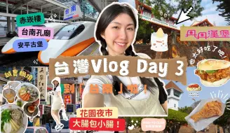 Download Video: 台湾Vlog Day 3｜到台南啦！从「赤崁楼」到「孔庙」再到「安平古堡」｜超鲜甜•诚实锅烧｜台南必吃之丹丹汉堡｜在花园夜市激情逛吃｜台南的天气依旧热情似火～