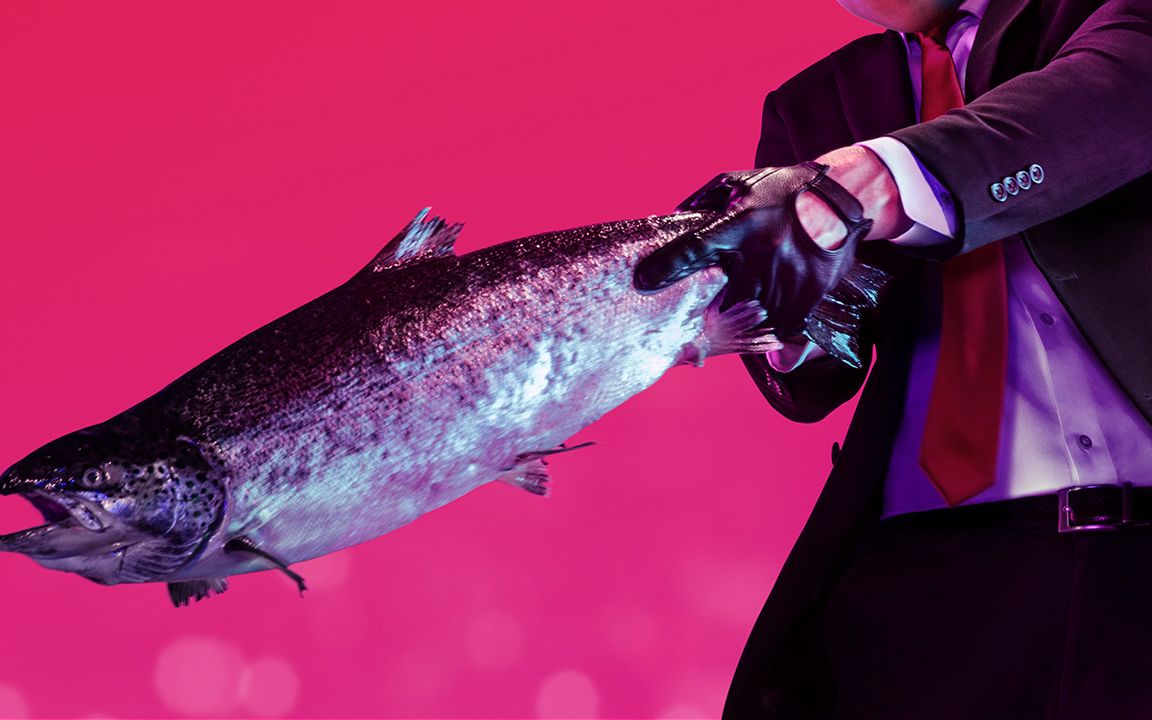 [图]【hitman2/杀手2】全季最高难度GingFury流视频攻略（1-2季完结）