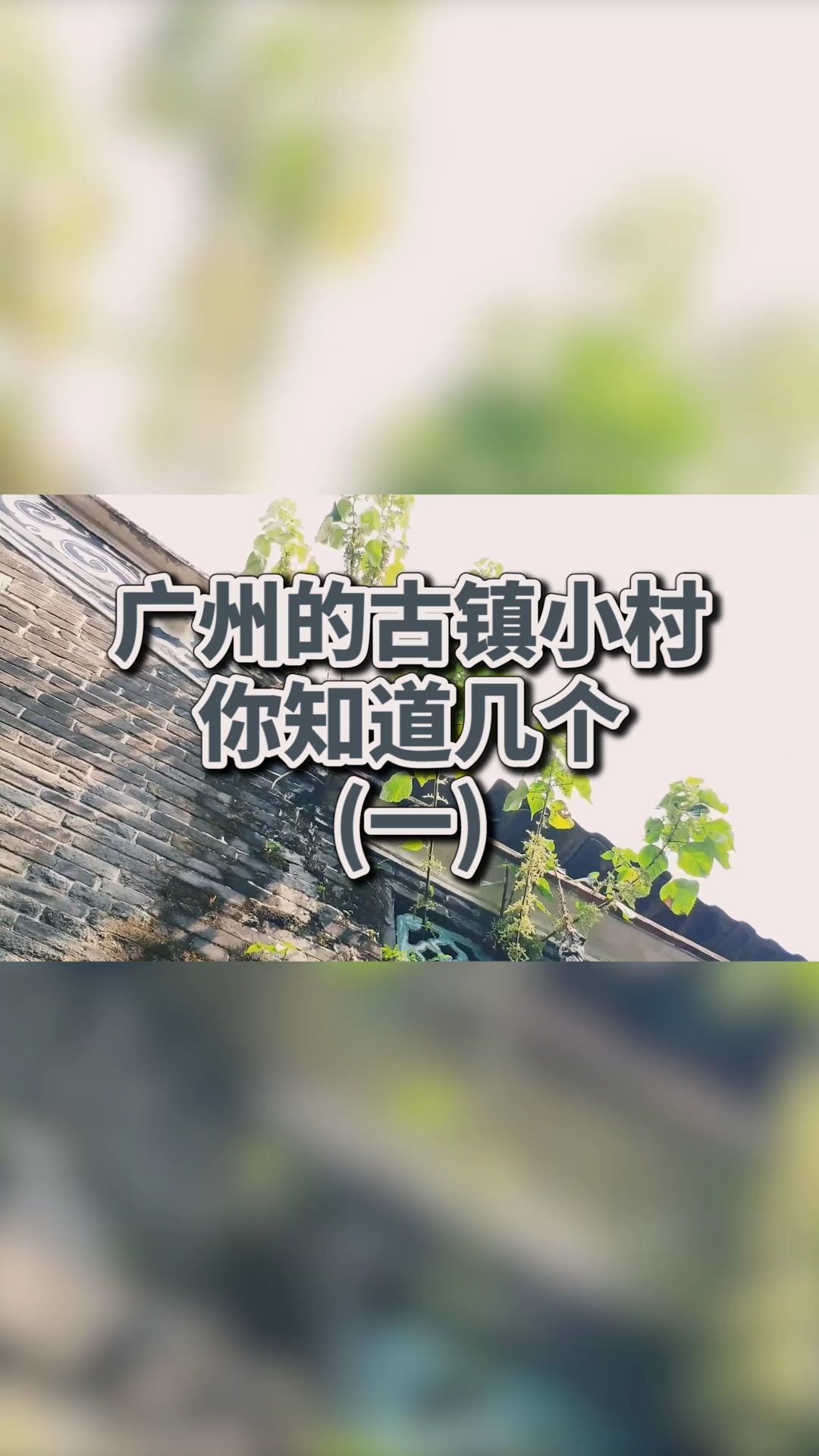 广州的古镇小村你知道几个(一)哔哩哔哩bilibili