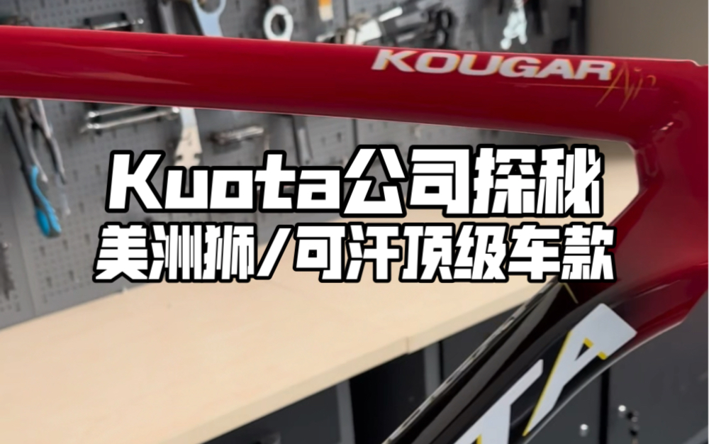 Kuota公司探秘 多个公路车队赞助品牌 美洲狮/可汗哔哩哔哩bilibili