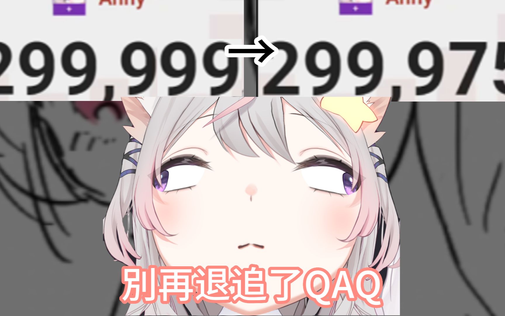 300K追踪了哔哩哔哩bilibili