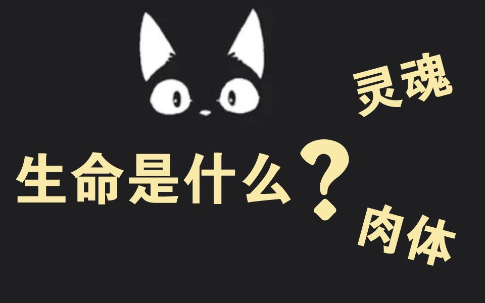 【秒记词根】古人认为人是由corp和cord组成的//灵魂(心)驻在心脏哔哩哔哩bilibili