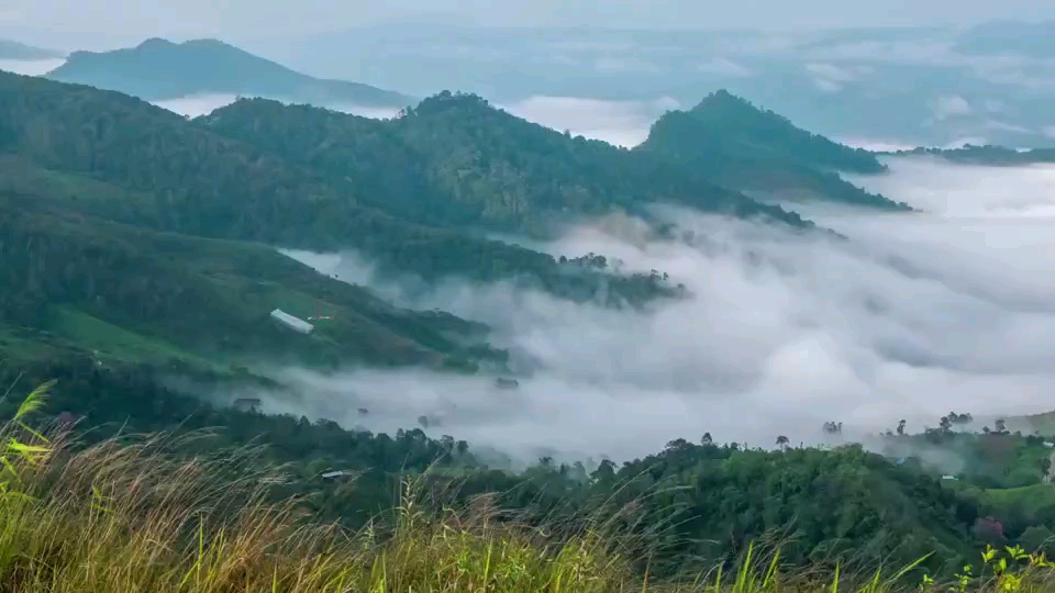 康师傅藤椒豉油鸡面图片