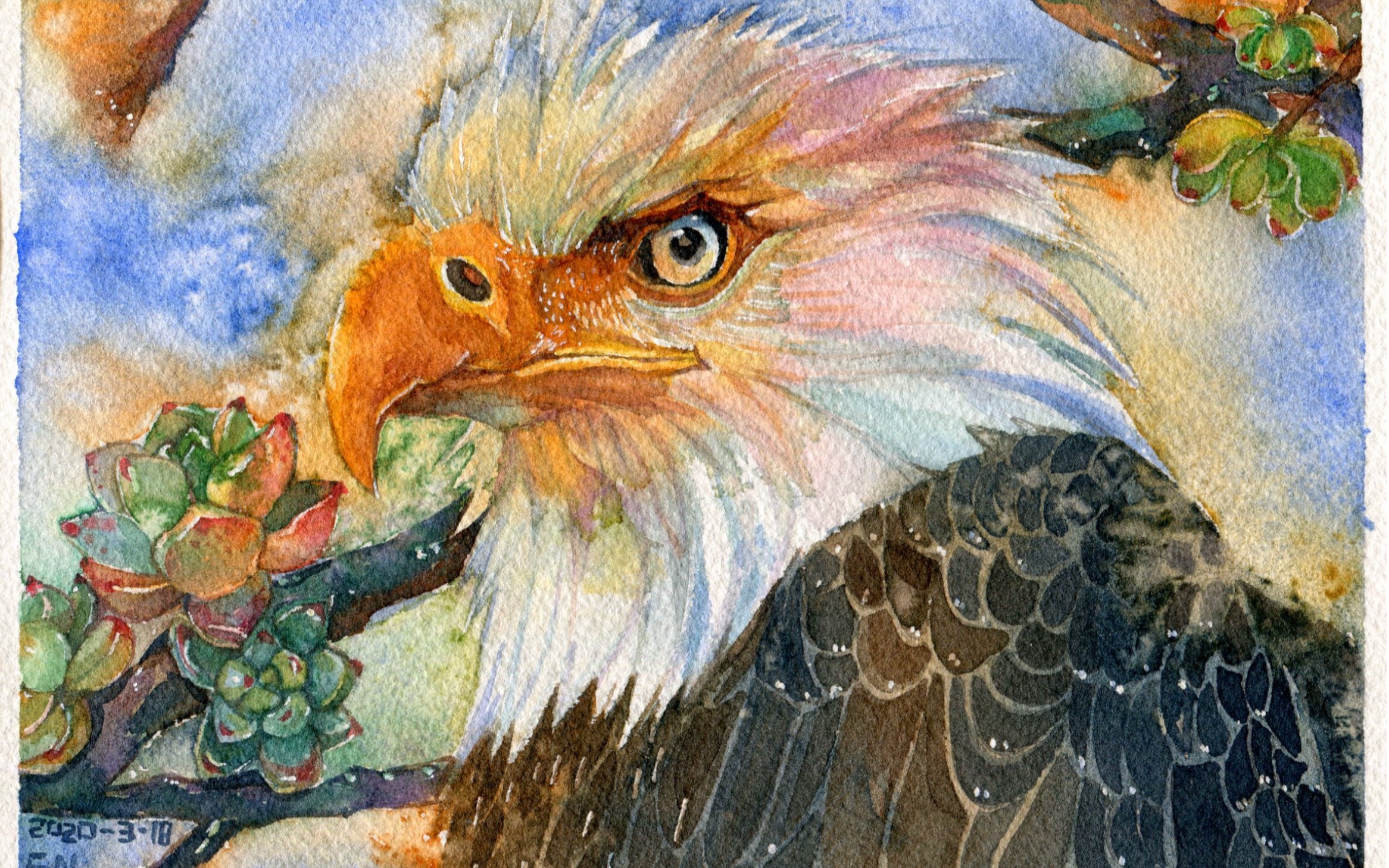 水彩手绘/一只白头海雕教程_哔哩哔哩 (゜-゜)つロ 干杯~-bilibili