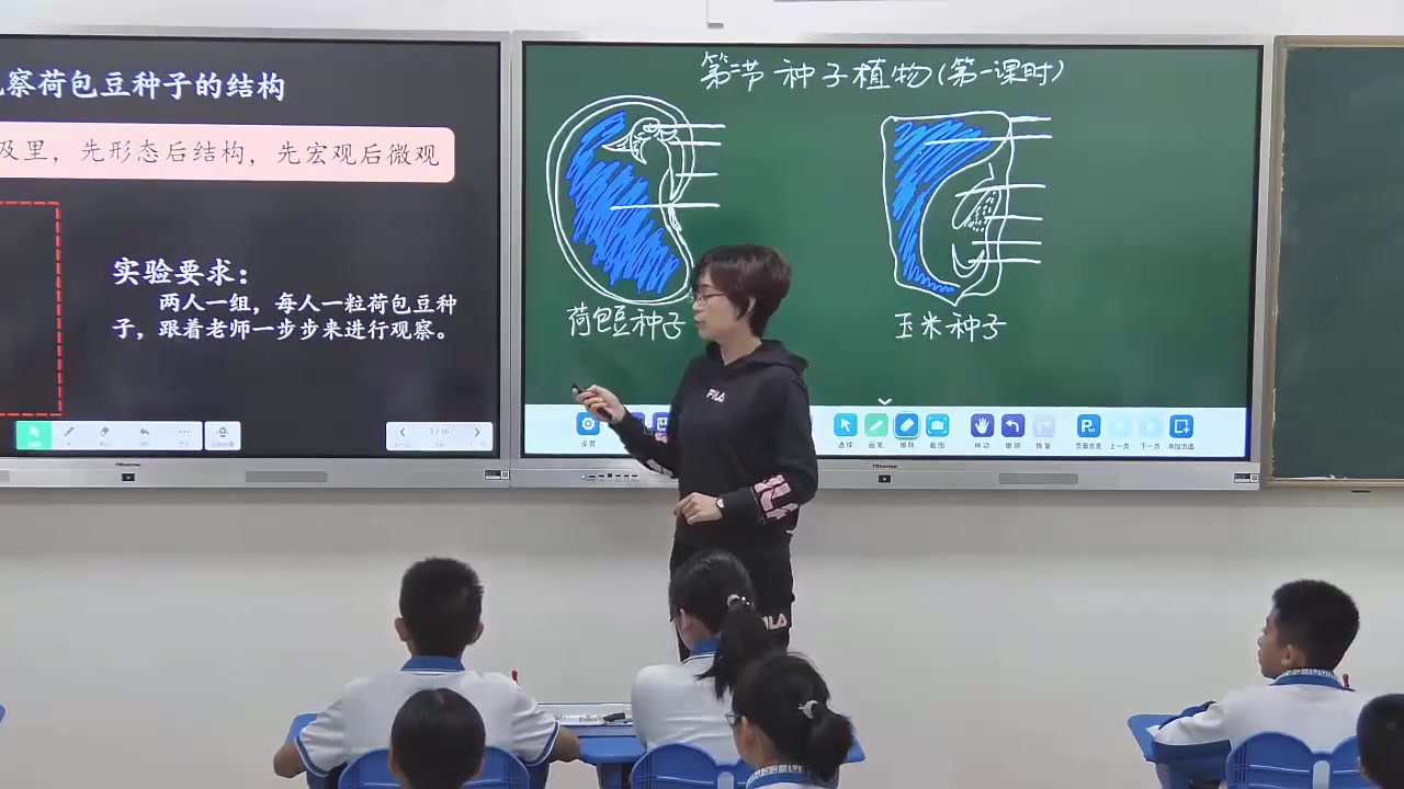 [图]种子植物