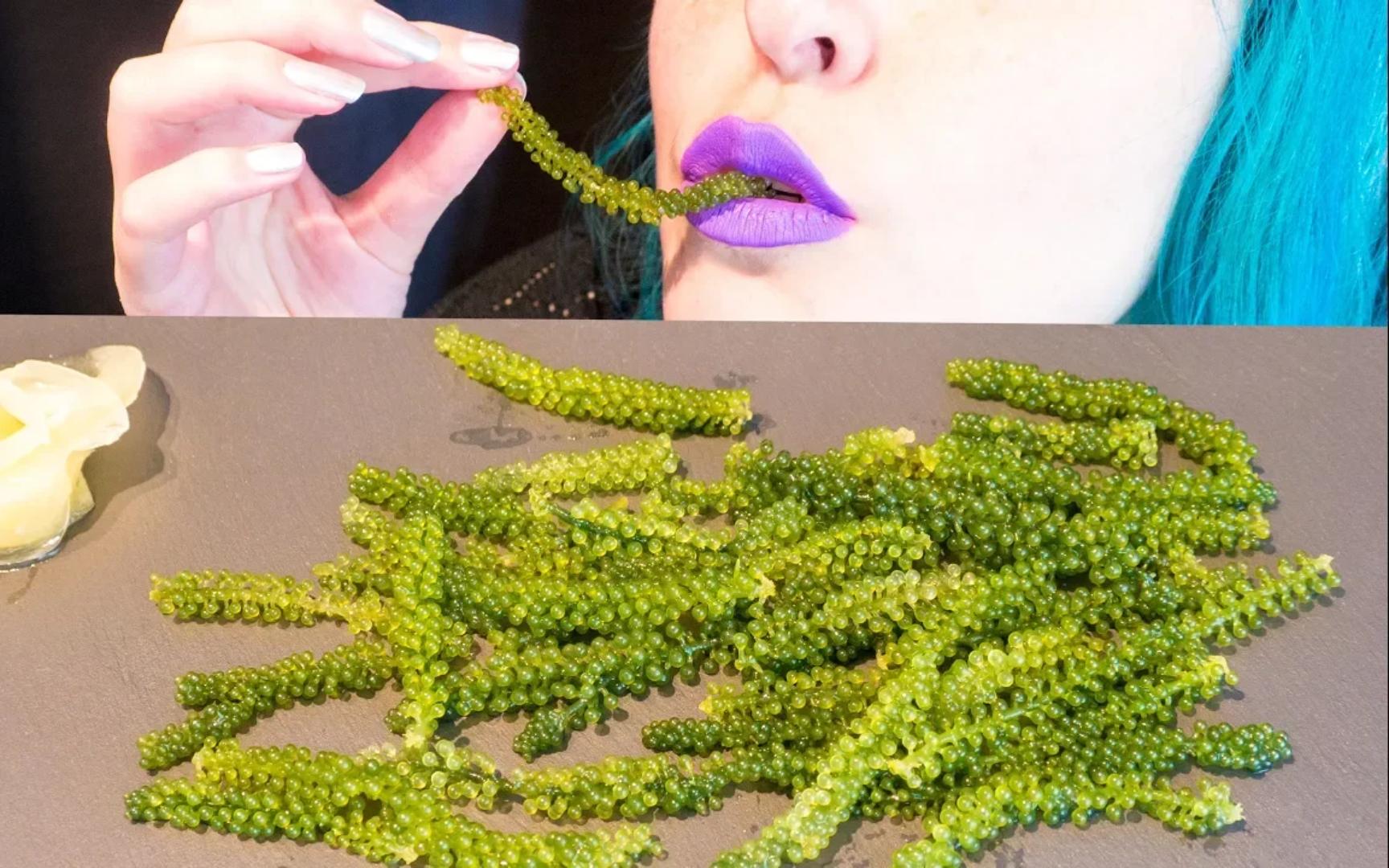 mystic saurus 超脆生海葡萄|绿鱼子酱~放松的咀嚼声