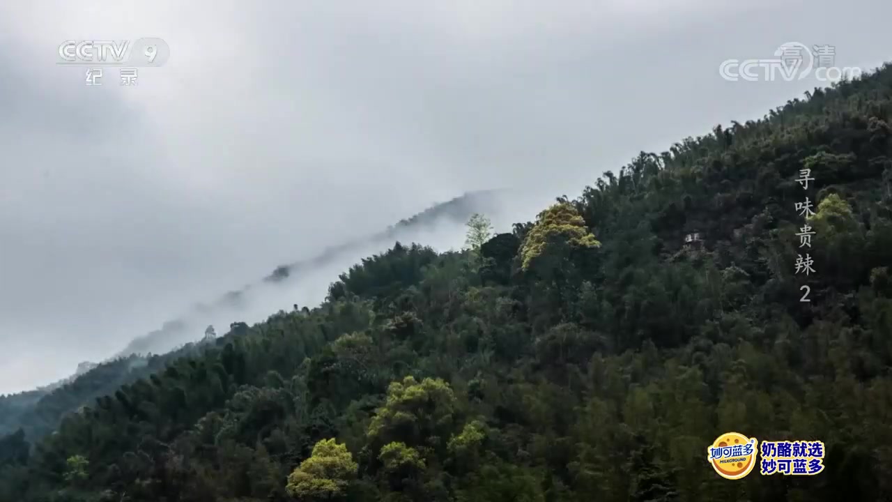 [图]古法制作糟辣椒 贵州人厨房里的扛把子料理《寻味贵辣》第2集【CCTV纪录】