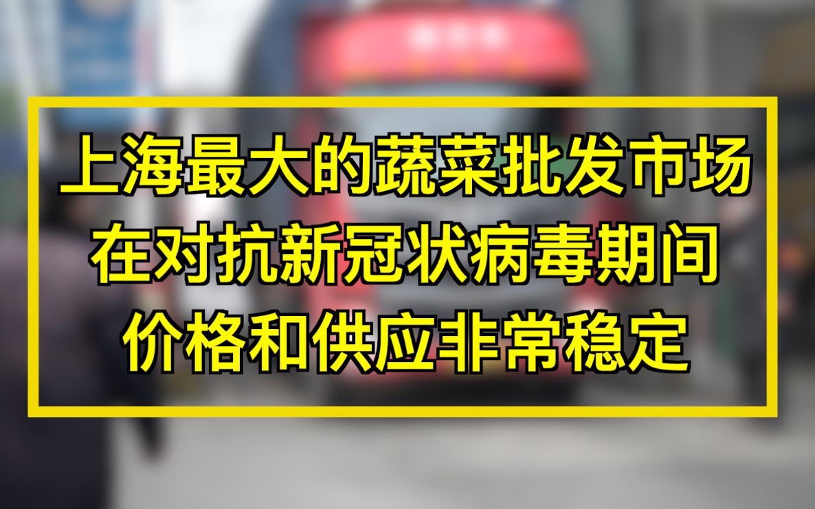 上海最大的蔬菜批发市场对抗新冠状病毒期间价格和供应稳定哔哩哔哩bilibili