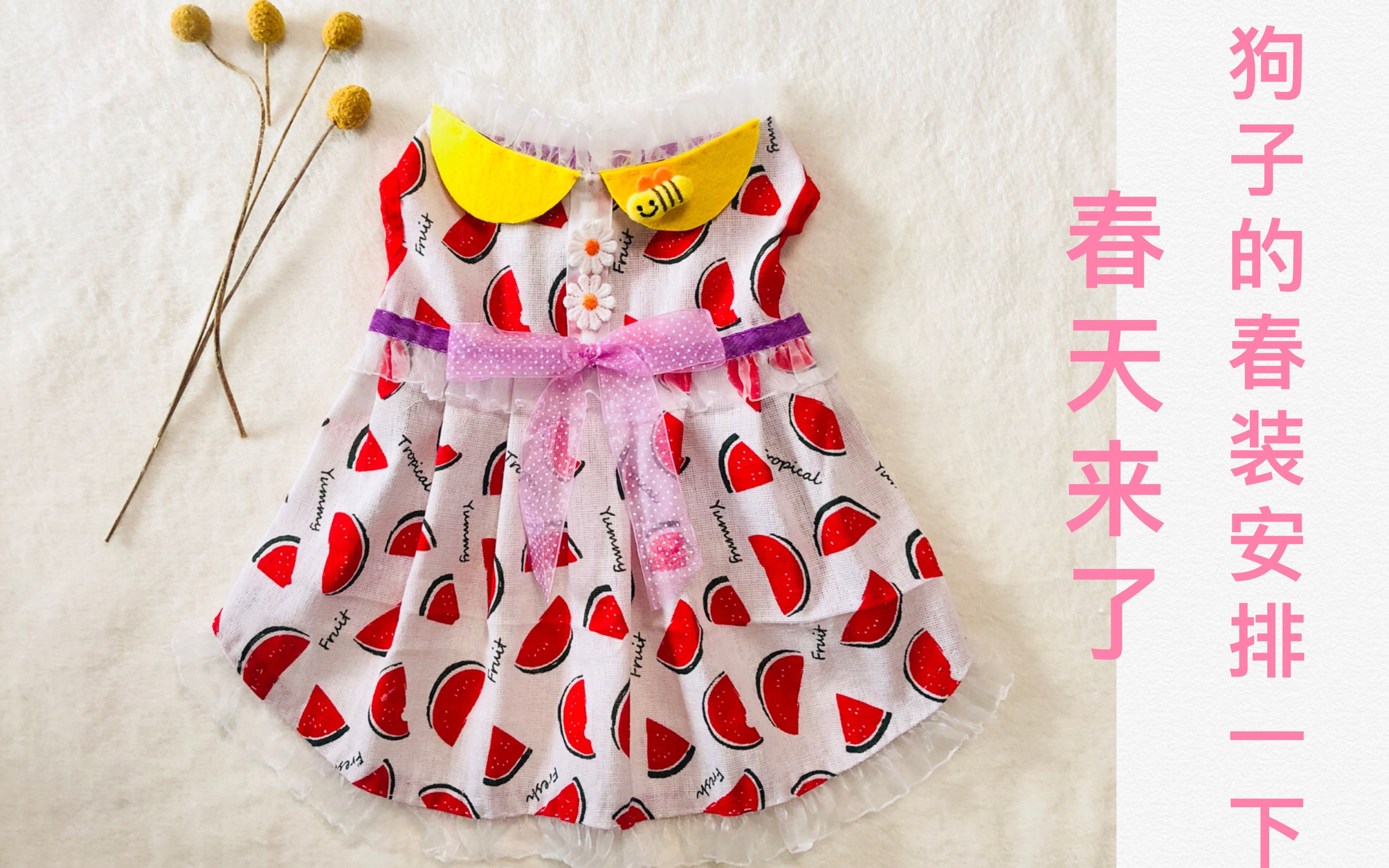 宠物衣服diy之狗子的新衣(春装)1(在家无聊,给狗子做件衣服吧)哔哩哔哩bilibili