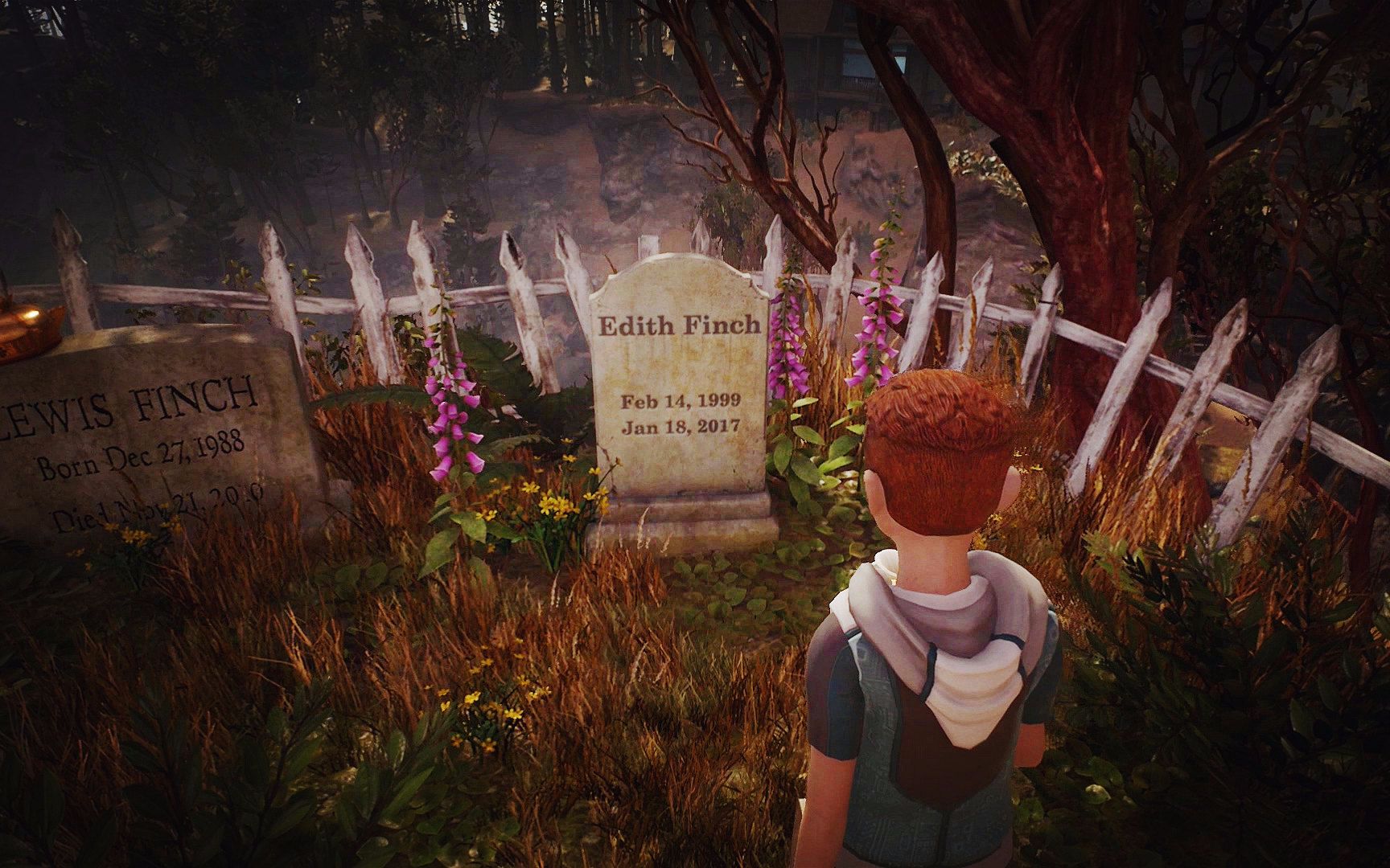 紫雨carol艾迪芬奇的记忆被诅咒的家族04完结