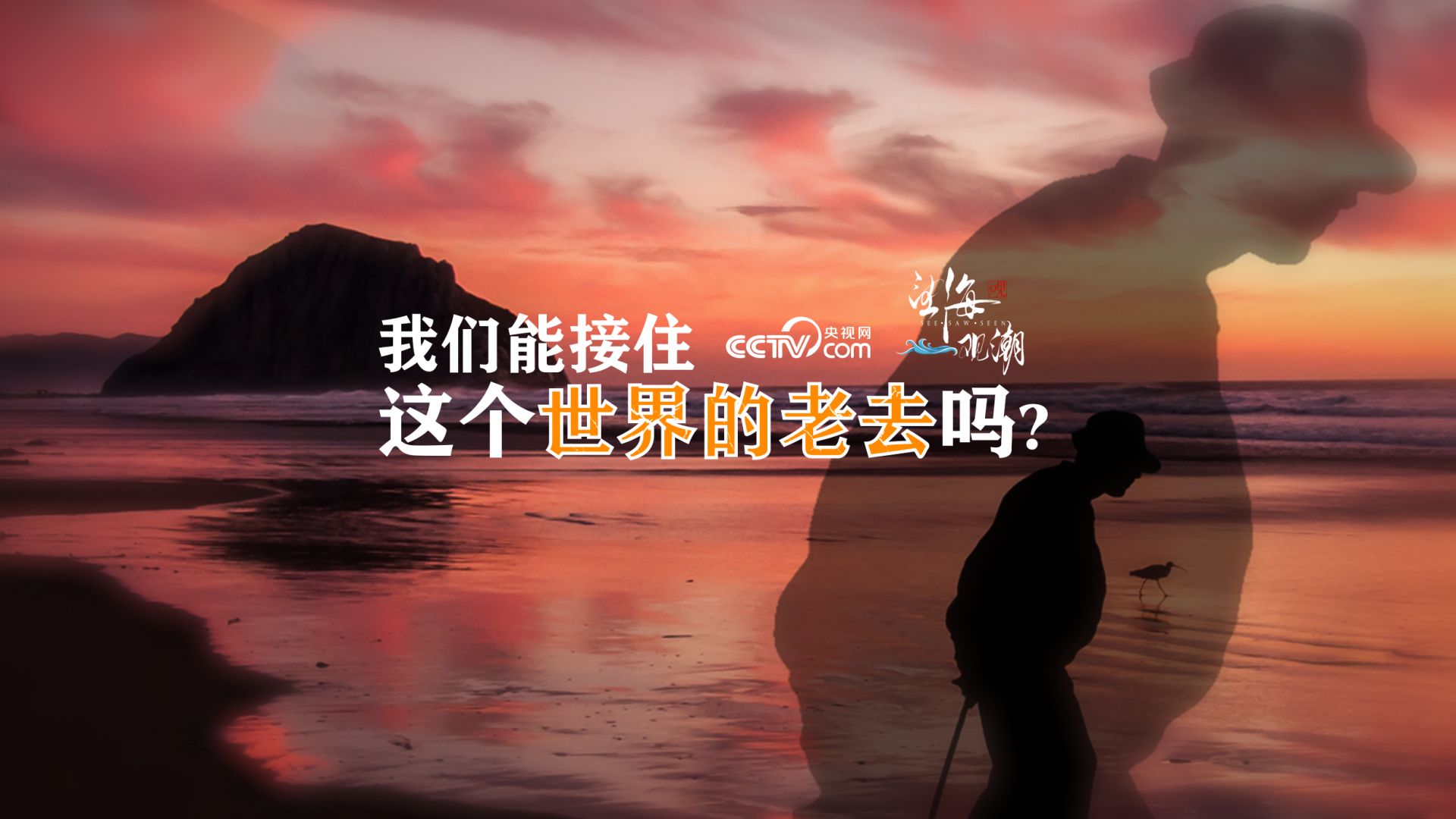 望海观潮|我们能接住这个世界的老去吗?哔哩哔哩bilibili