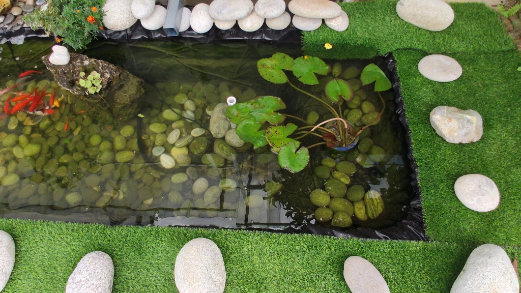 自制户外锦鲤鱼池