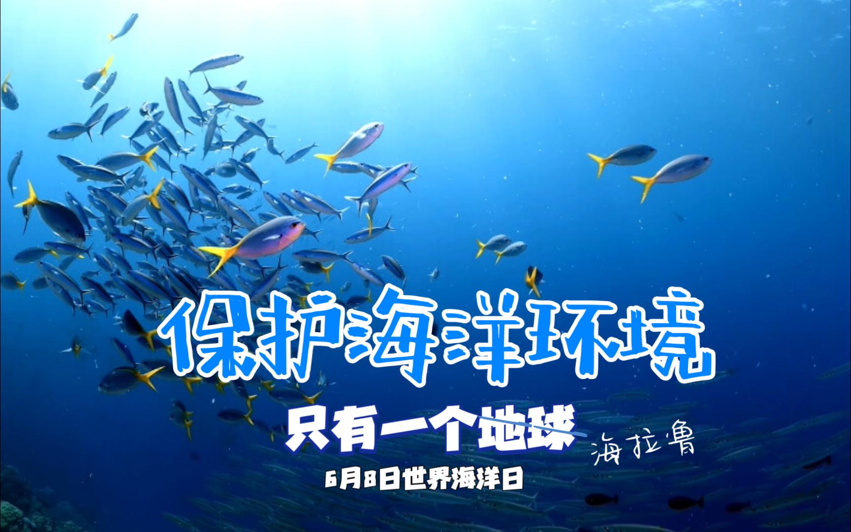 海拉鲁海洋保护公益广告【王国之泪】