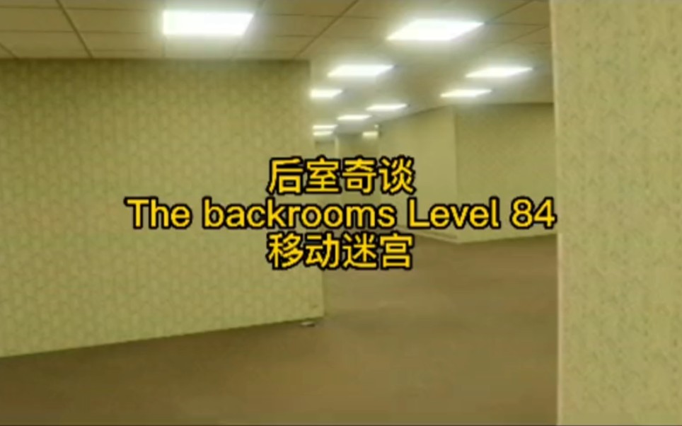 [图]The backrooms Level 84 移动迷宫