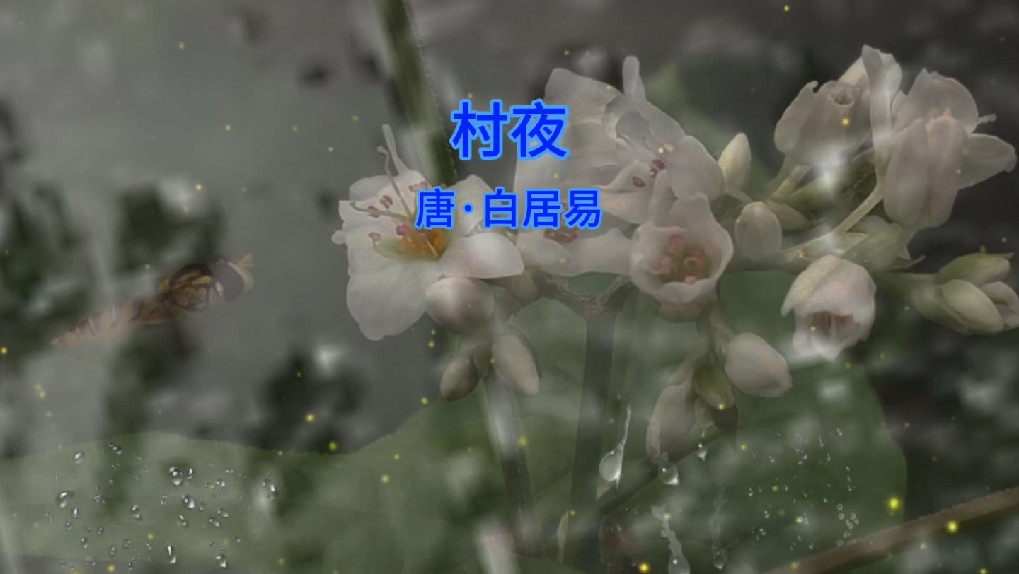 《村夜》唐 白居易