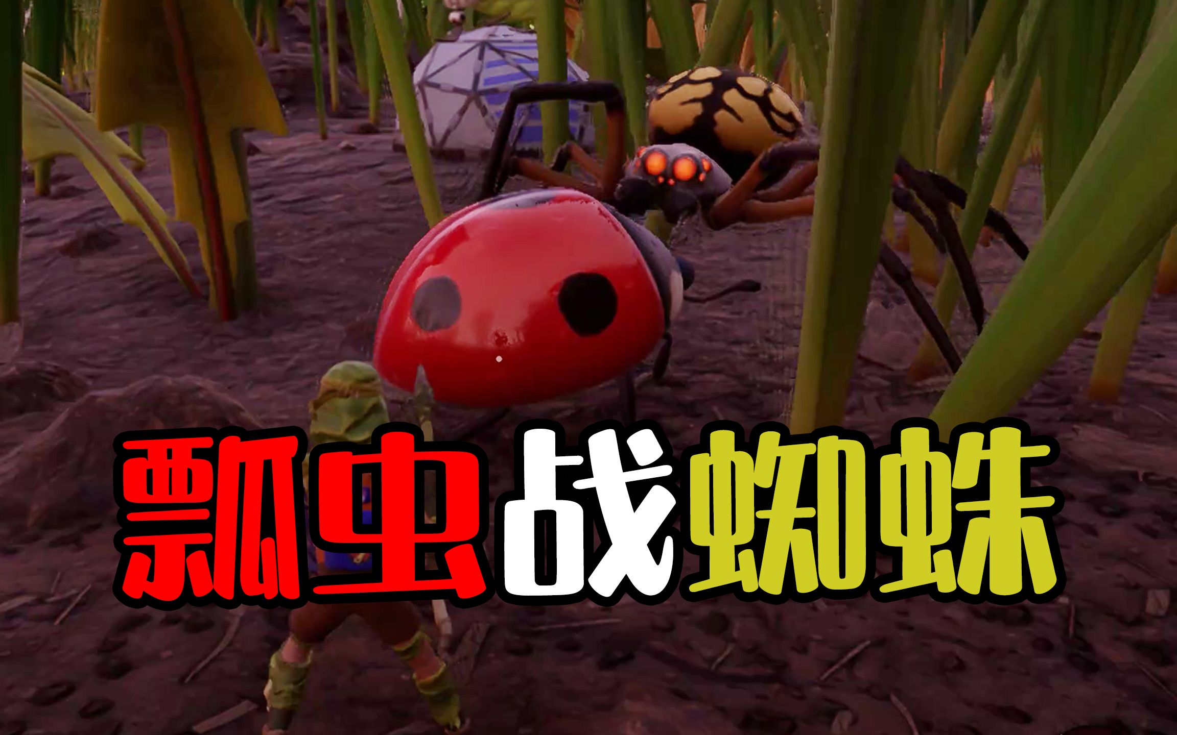 禁闭求生2:巨蛛来袭!我雇佣瓢虫当打手,触发昆虫大战