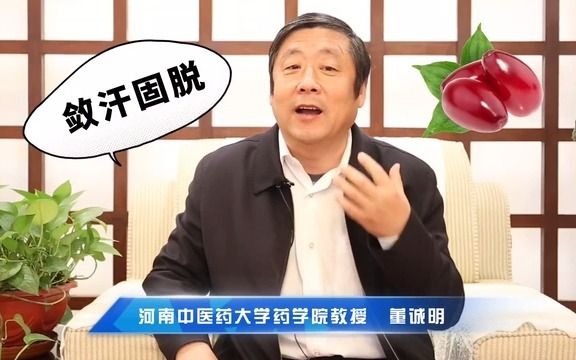 山茱萸是一味什么样的中药哔哩哔哩bilibili