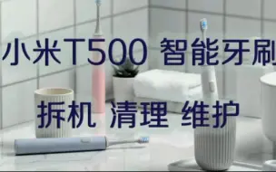 Download Video: 小米T500电动牙刷 拆机 清理 维护