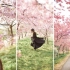 【审美日记10】令人怦然心动的日系风！加藤光/Hikaru Kato作品欣赏