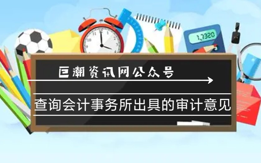 如何在巨潮资讯网公众号查看【标准无保留意见】手机版哔哩哔哩bilibili