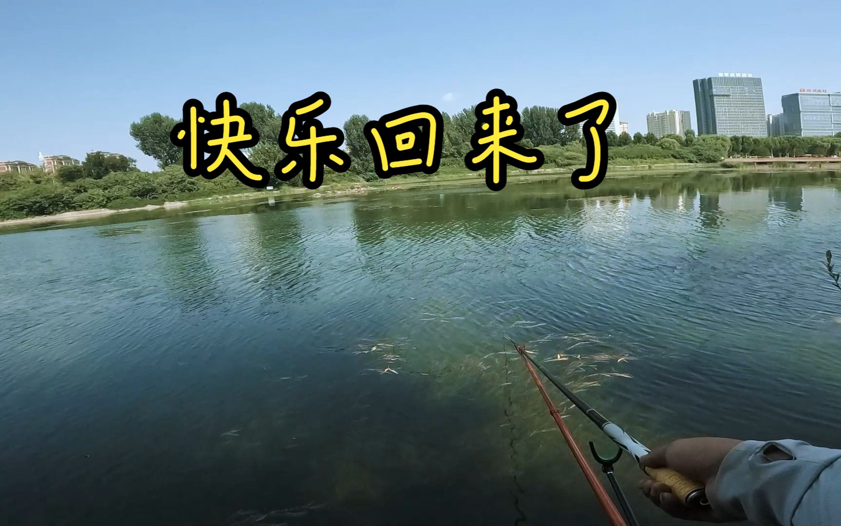 今天短杆儿休闲钓,我的快乐又回来了