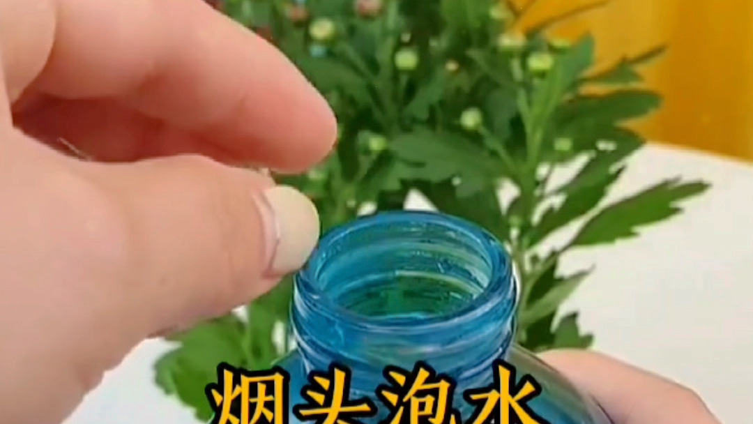 [图]种菜妙招