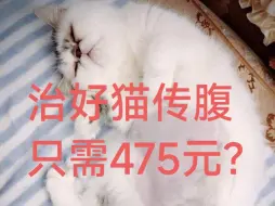 猫传腹口服药资料分享